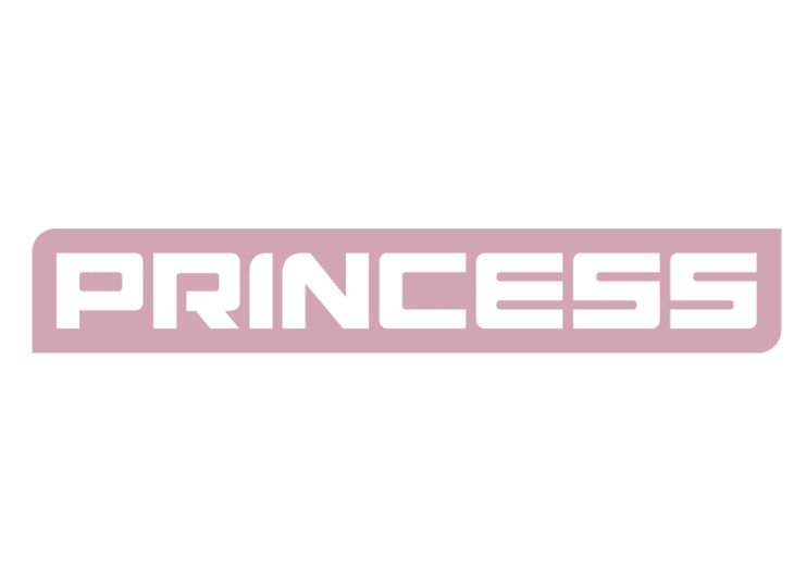 Logo der Marke "PRINCESS" in rosa und weiß auf hellem Hintergrund.